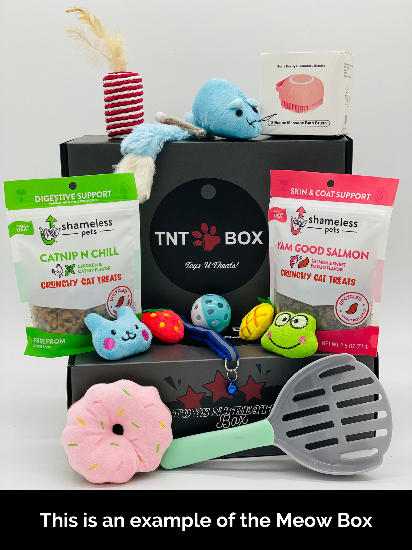 Toys N Treats Gift Boxes