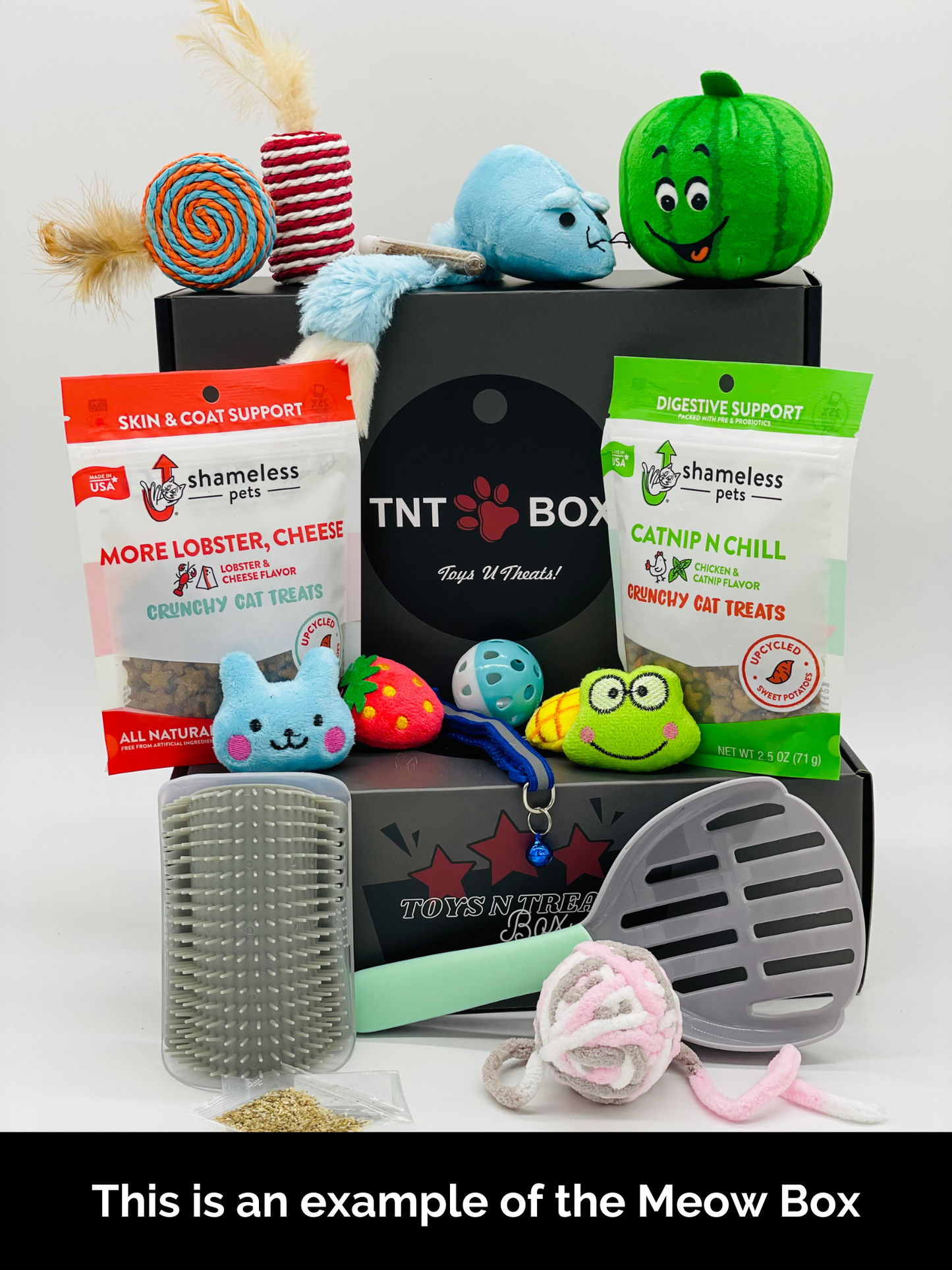 Toys N Treats Gift Boxes