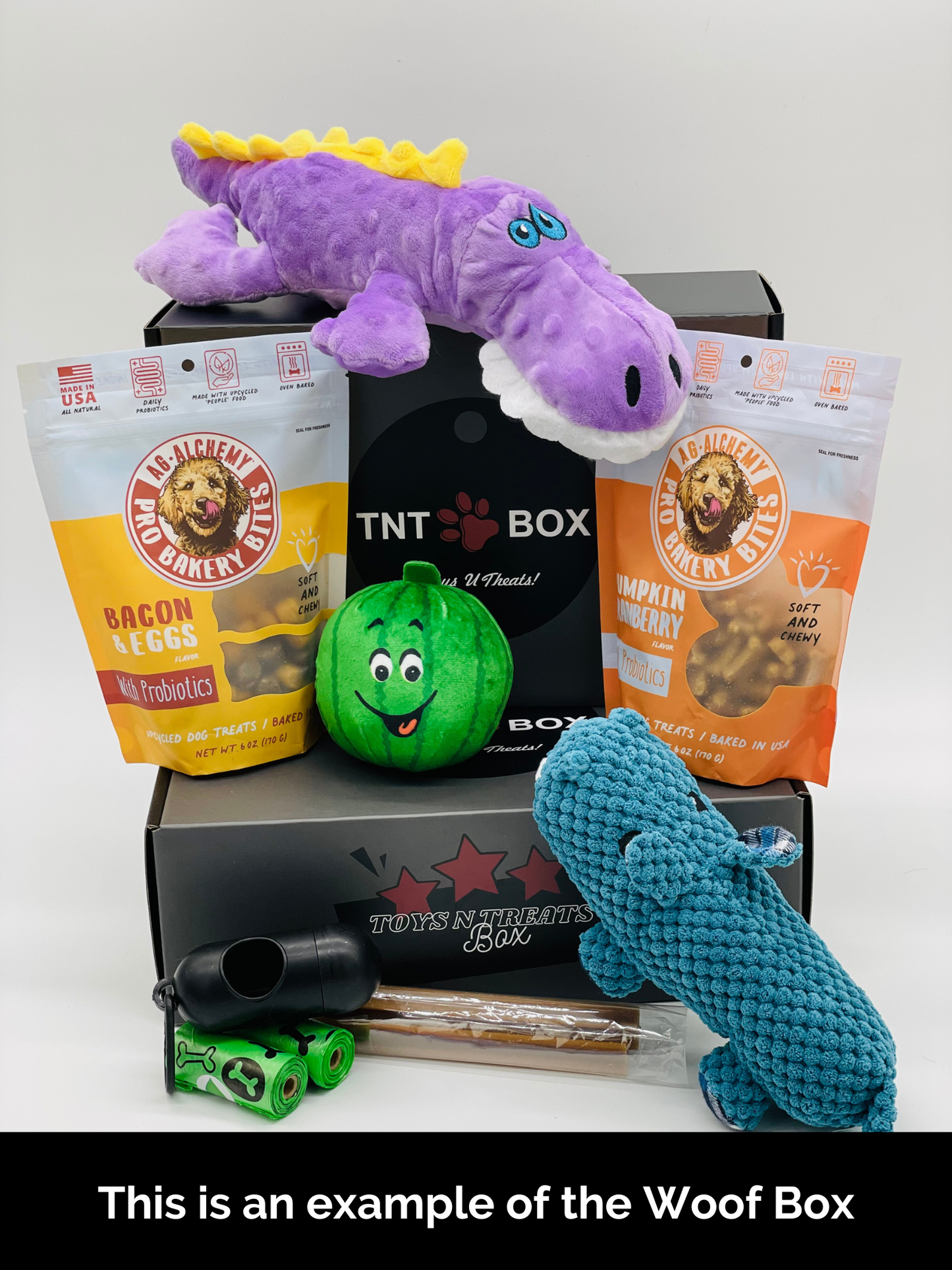 Toys N Treats Gift Boxes