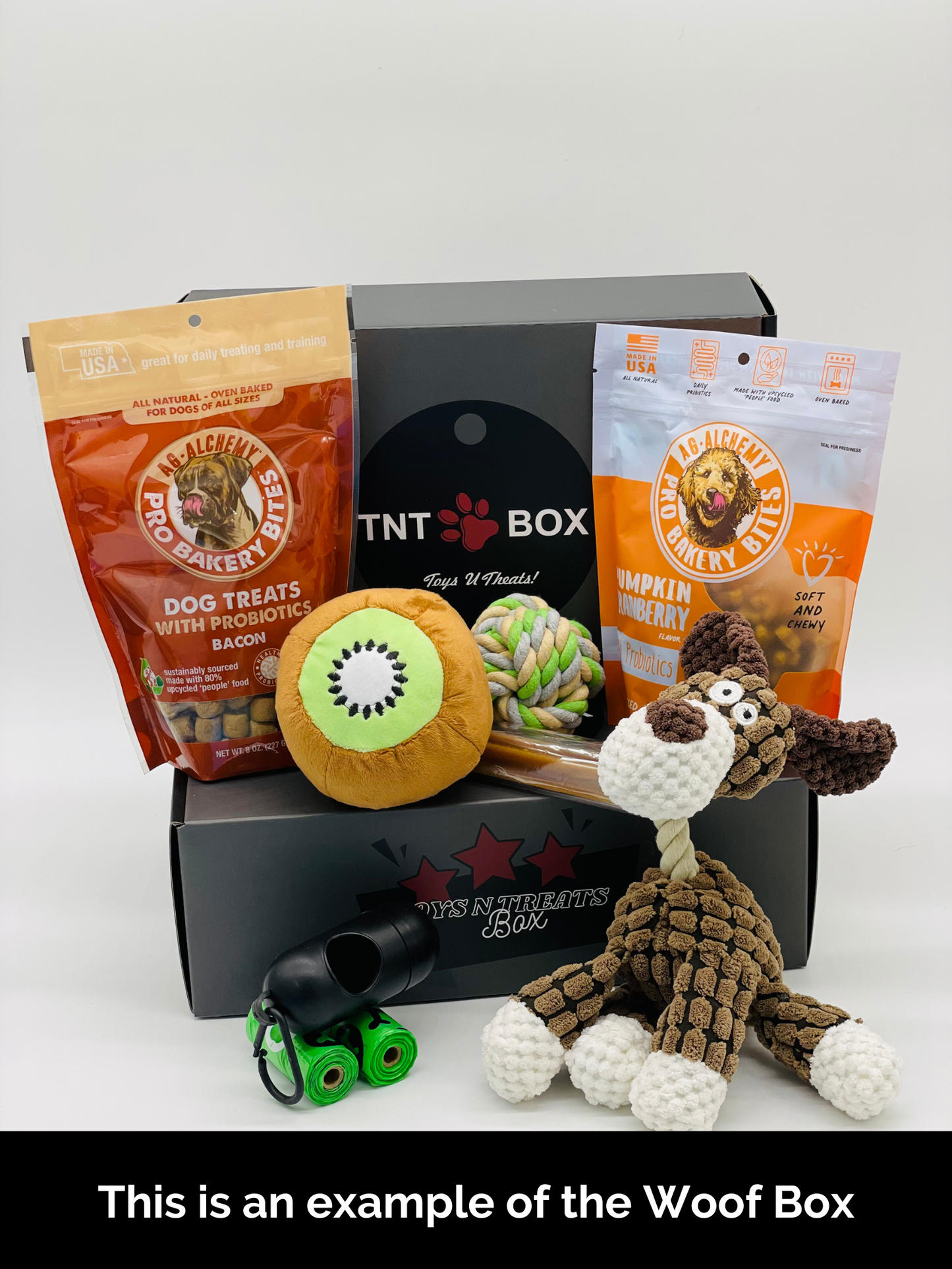 Toys N Treats Gift Boxes