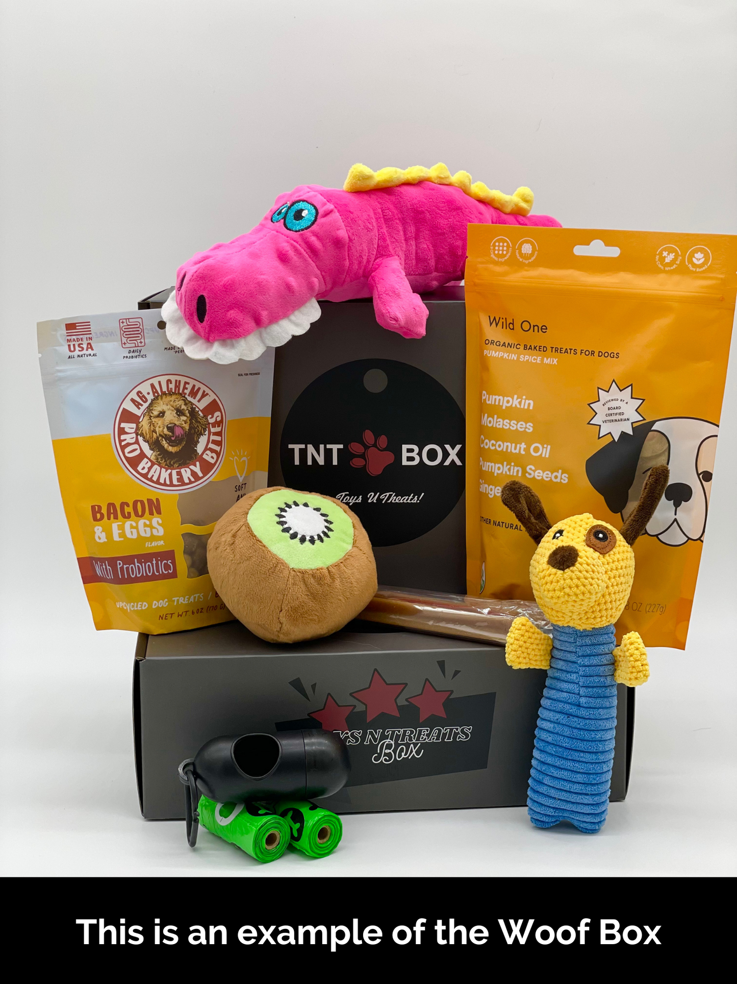 Toys N Treats Gift Boxes