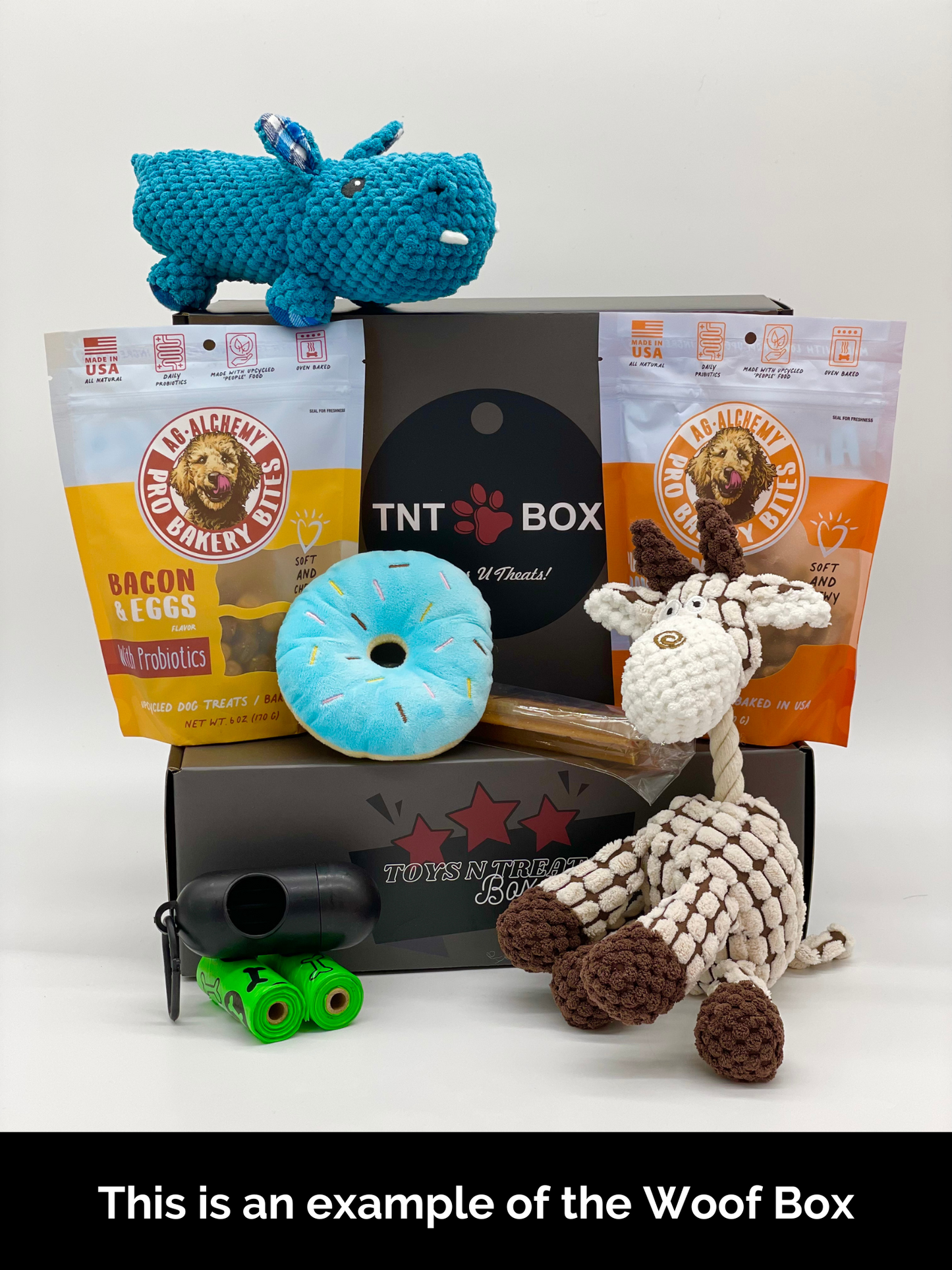 Toys N Treats Gift Boxes