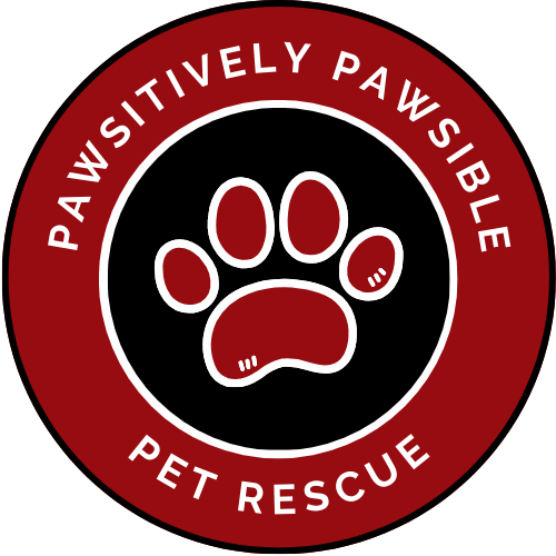 Pawsitively Pawsible Pet Rescue